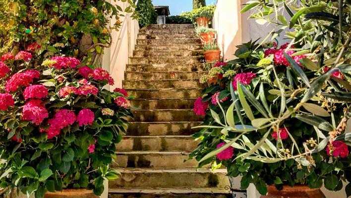 Experiment and Enjoy Your Staircase Gardening