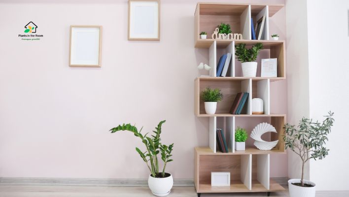 Houseplants to Greenify Your Bookshelf Easy care