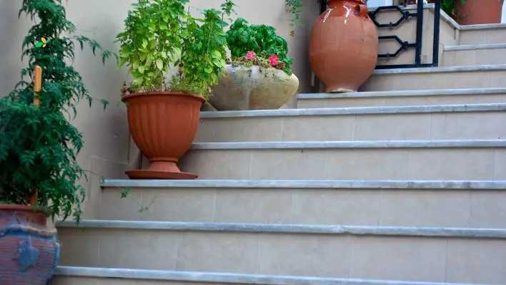 Right Planters and Pots for Staircase Plants