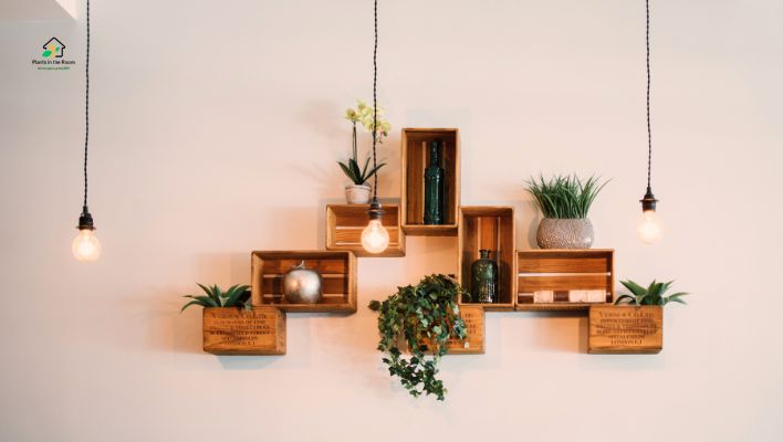 Wall-Mounted Planters
Types of Vertical Garden Systems