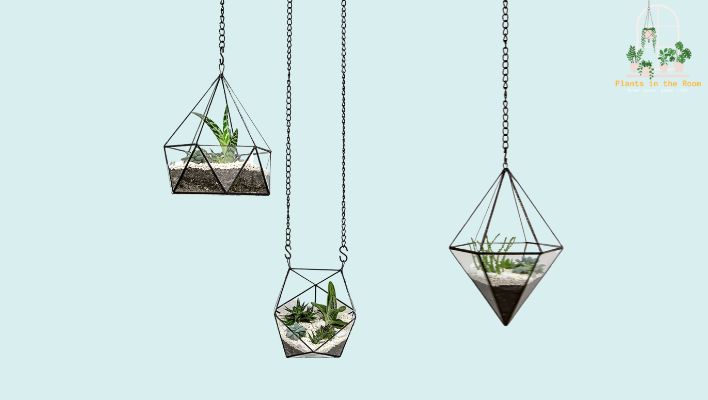 Creative Hanging Plant Ideas for a Fresh Look of Your House