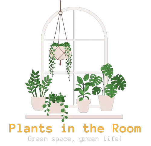 Plants in the Room