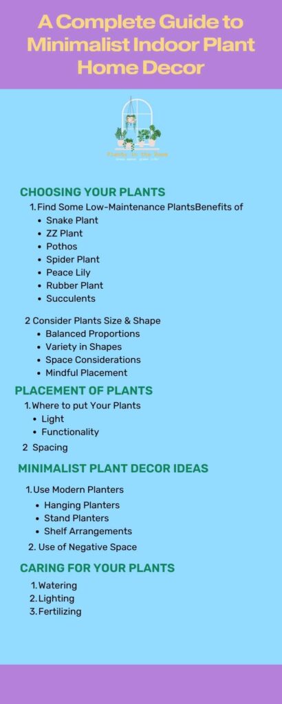 A Complete Guide to Minimalist Indoor Plant Home Decor
