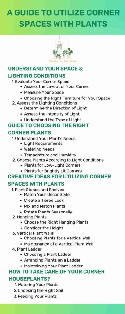 A Guide to Utilize Corner Spaces With Plants