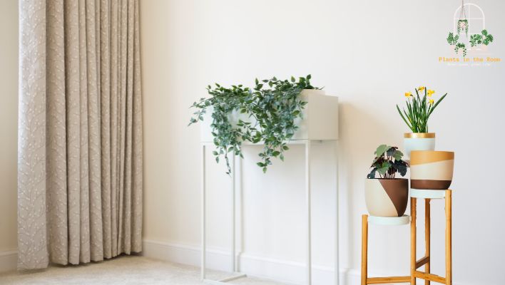 DIY Plant Stands Make More Beautiful to Your Home by Holding Plants