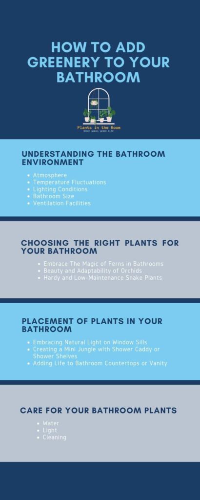 Guide to Add Greenery to Your Bathroom