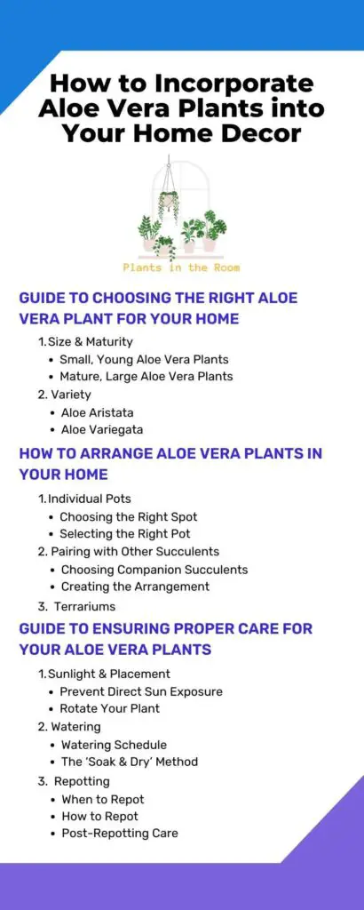 How to Incorporate Aloe Vera Plants into Your Home Decor
