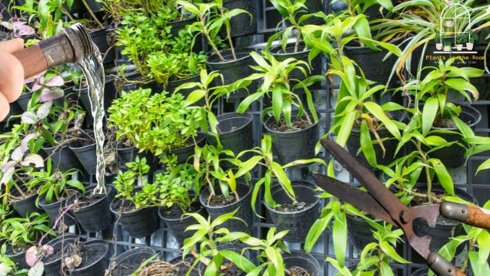 Keeping Your Living Wall Healthy