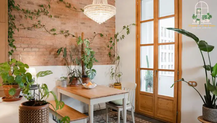 Maximize Small Spaces with Indoor Plants
