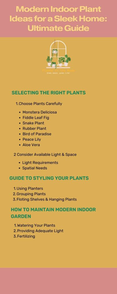 Modern Indoor Plant Ideas for a Sleek Home Ultimate Guide