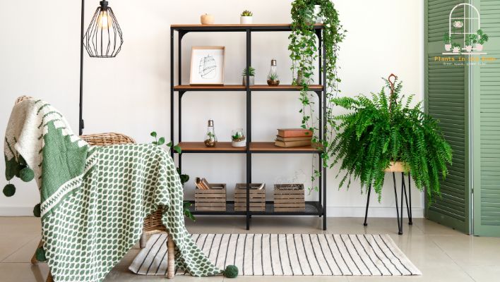 Plant Stands and Shelves Add More Beauty to Your Decor