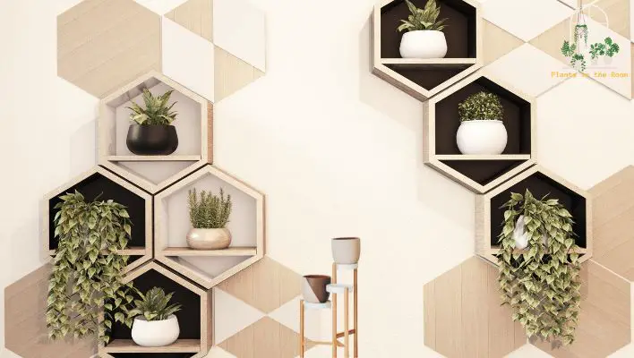 A Well Design Plant Stands & Shelves Enhance the Beauty of Your Place