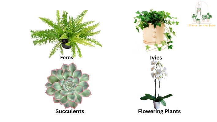 Choose the Right Plant & Connect With Nature
