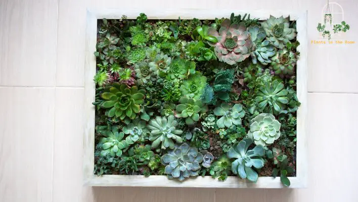 Wall-Mounted Planter is a Fantastic Way to Greenery Your House 