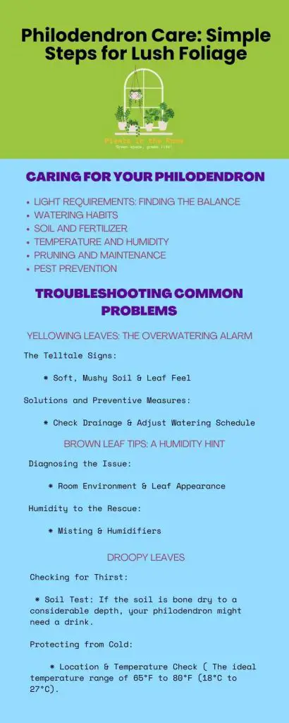 Philodendron Care & Problem Solution Tips