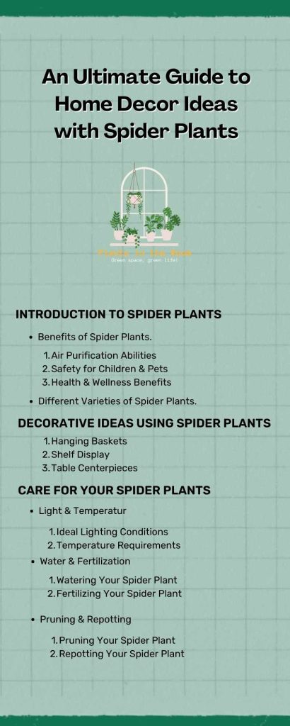Guide to Home Decor Ideas with Spider Plants