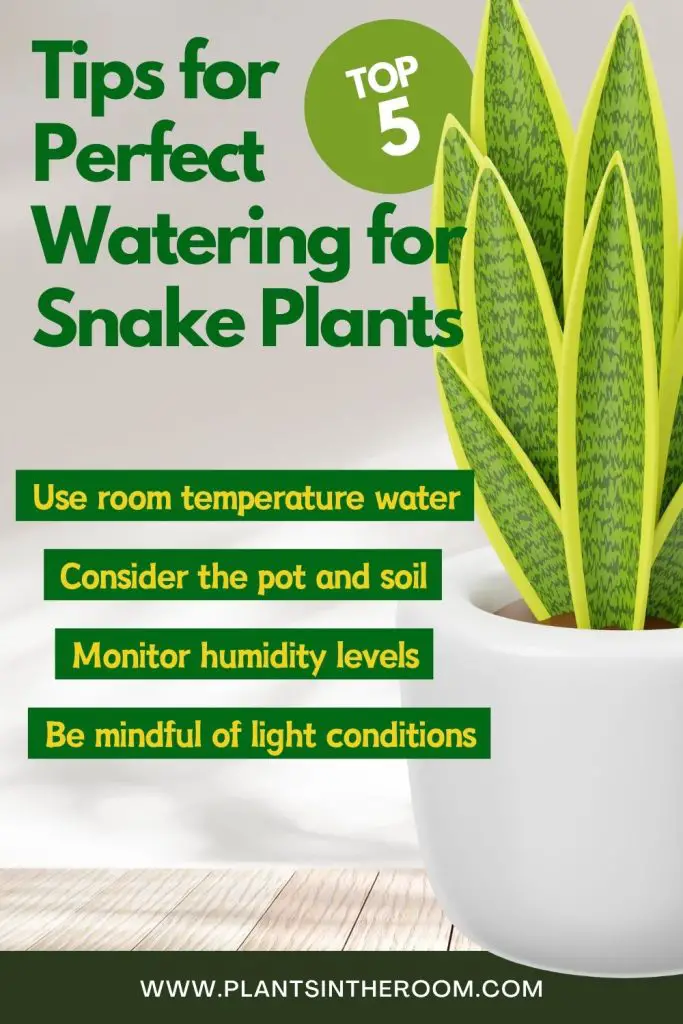 Tips for Perfect Watering for Snake Plants